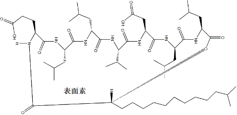 圖片關鍵詞