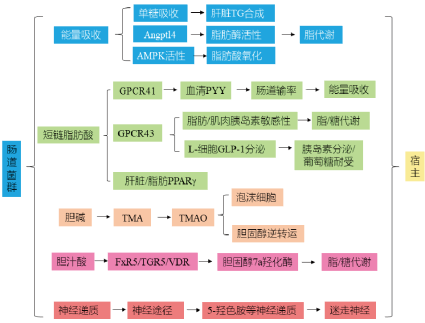 圖片關鍵詞